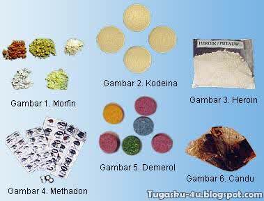 Detail Jenis Jenis Narkoba Dan Gambarnya Nomer 5