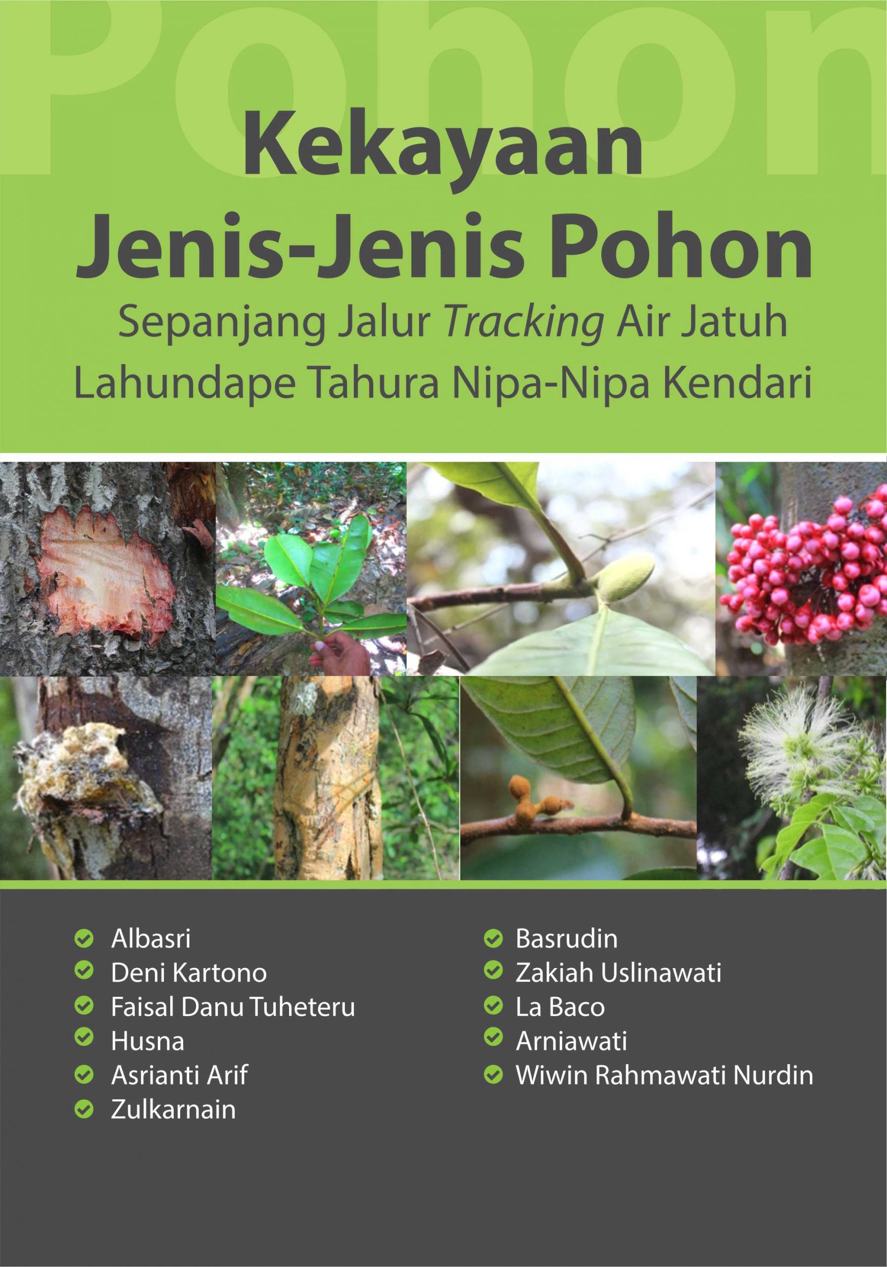 Detail Jenis Jenis Pohon Nomer 2