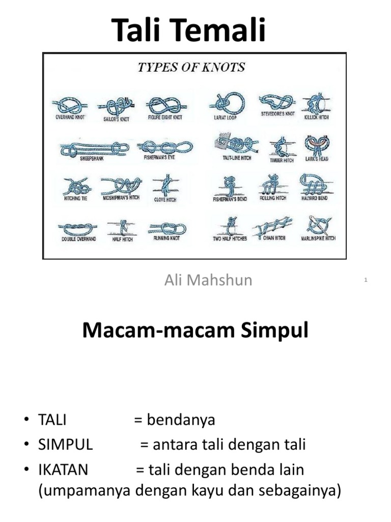 Detail Jenis Jenis Simpul Nomer 40