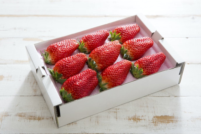 Detail Jenis Jenis Strawberry Dan Gambarnya Nomer 12