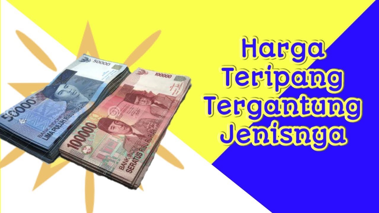 Detail Jenis Jenis Teripang Dan Gambarnya Nomer 29