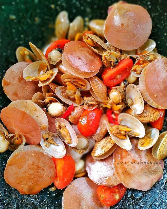 Detail Jenis Kerang Laut Nomer 32