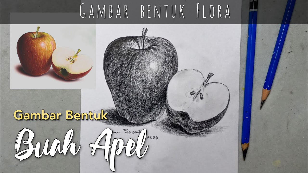 Detail Jenis Objek Gambar Model Nomer 40