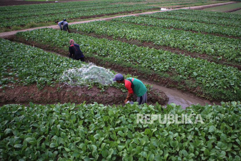 Detail Jenis Pekerjaan Di Pedesaan Nomer 28