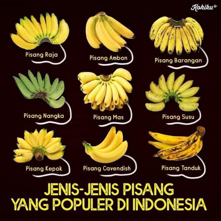 Detail Jenis Pisang Dan Gambarnya Nomer 34