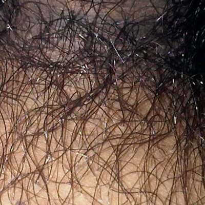 Detail Jenis Rambut Kemaluan Wanita Nomer 5