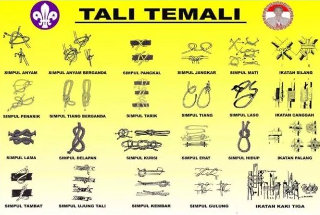 Detail Jenis Simpul Tali Nomer 10