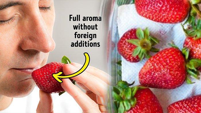 Detail Jenis Strawberry Manis Nomer 45