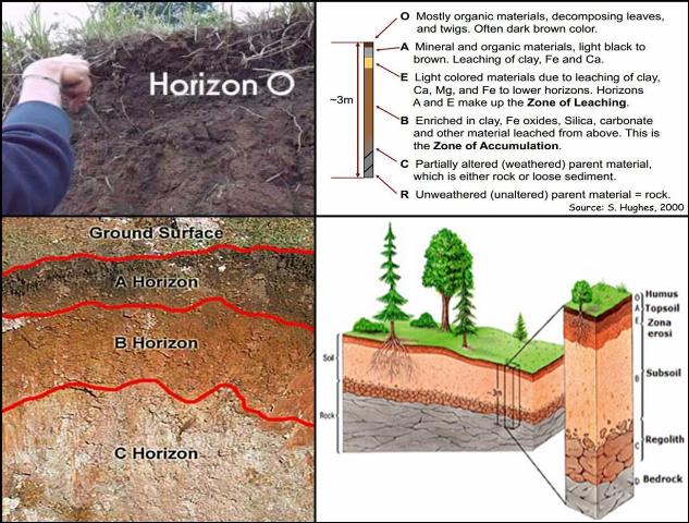 Detail Jenis Tanah Di Indonesia Dan Gambarnya Nomer 55