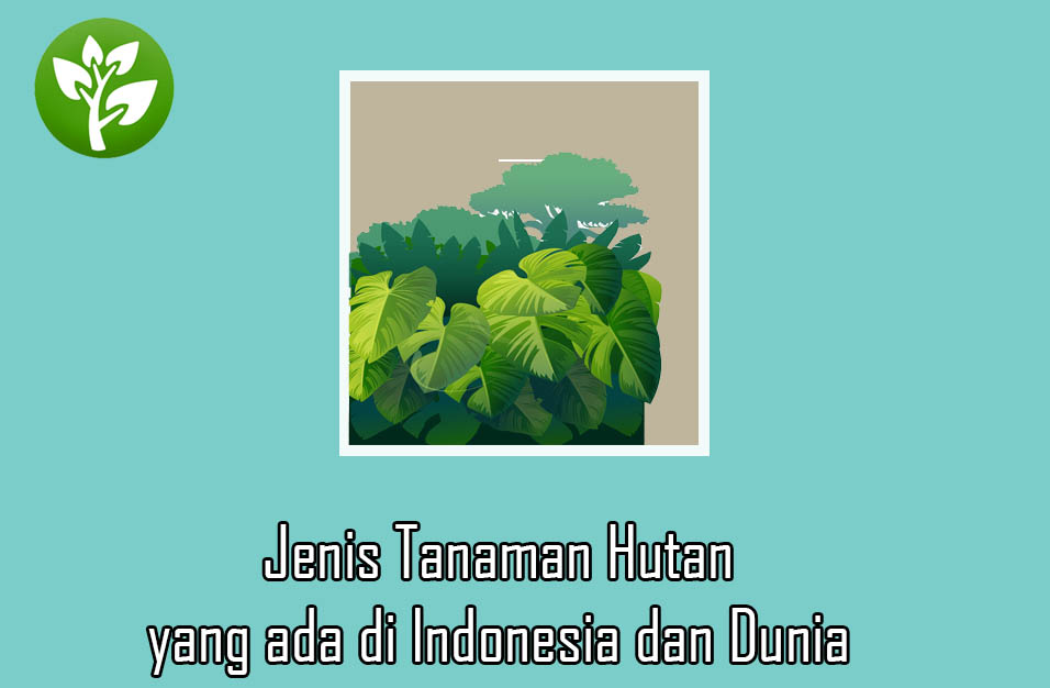 Detail Jenis Tanaman Hutan Nomer 27