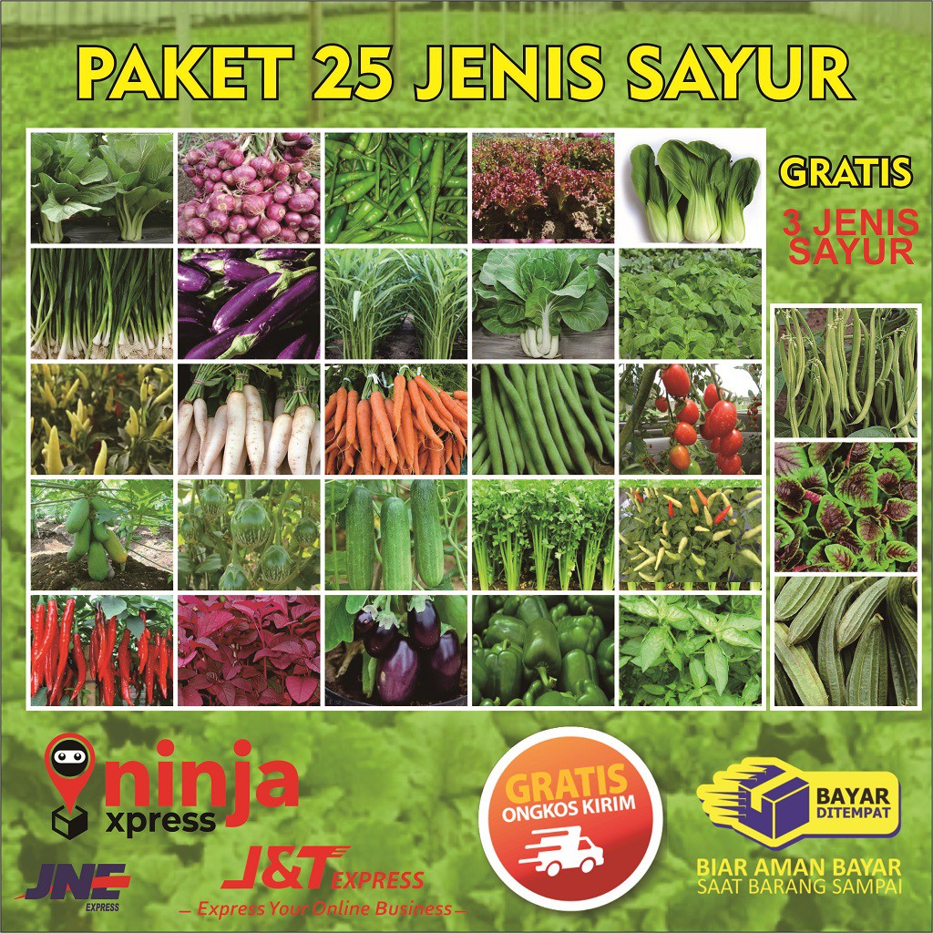 Detail Jenis Tanaman Sayuran Nomer 8