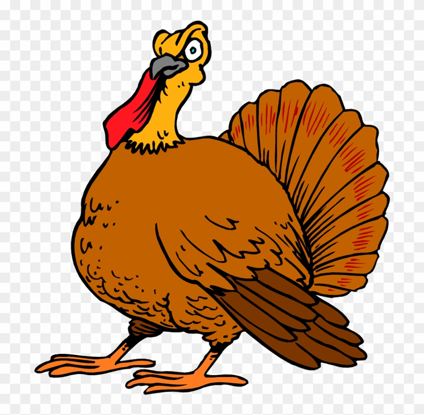 Detail Animated Turkey Nomer 11