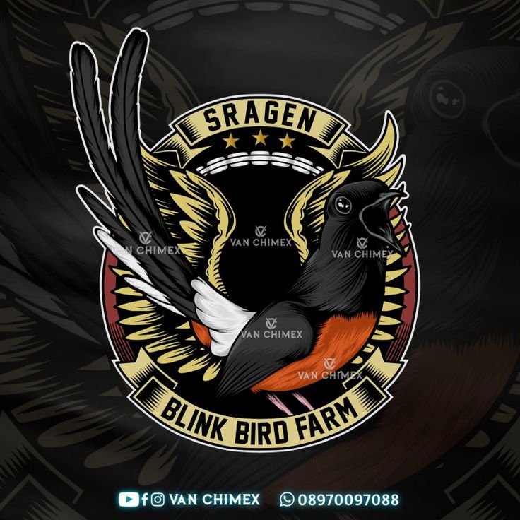 Detail Desain Logo Burung Kacer Nomer 22