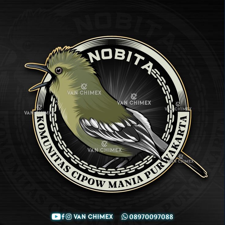 Detail Desain Logo Burung Kacer Nomer 32