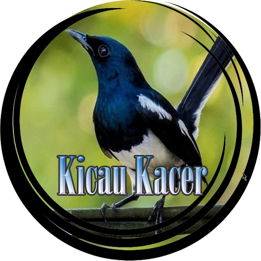 Detail Desain Logo Burung Kacer Nomer 43