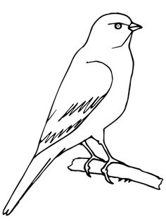 Detail Desain Logo Burung Kenari Nomer 43