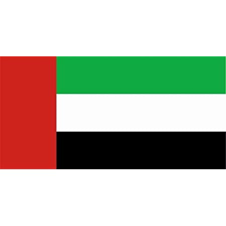 Detail Dubai Landesflagge Nomer 7