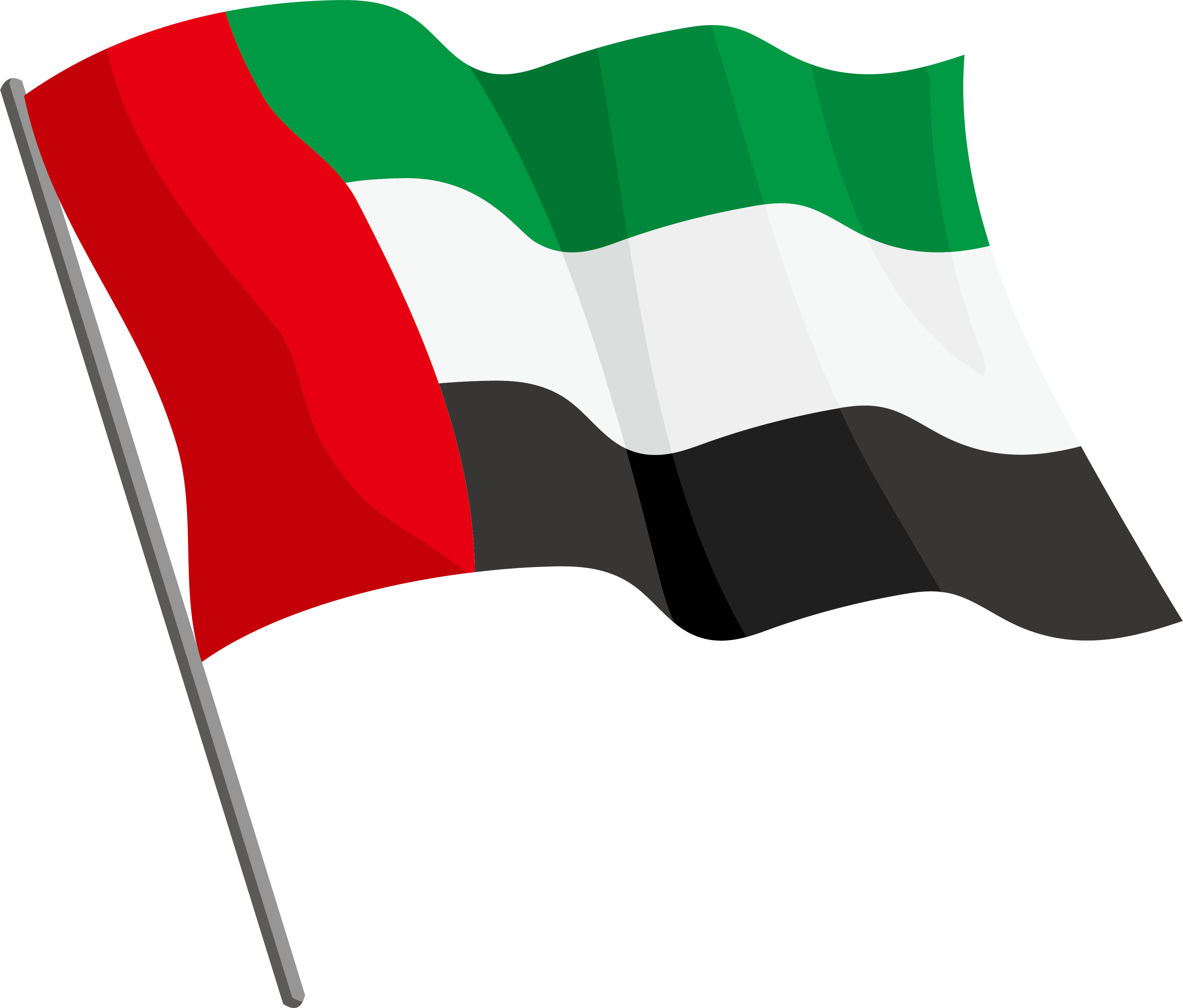 Detail Dubai Landesflagge Nomer 5