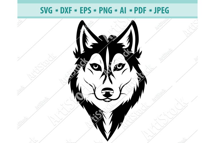 Detail Husky Wolfshund Mix Nomer 16