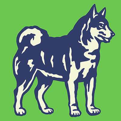 Detail Husky Wolfshund Mix Nomer 3