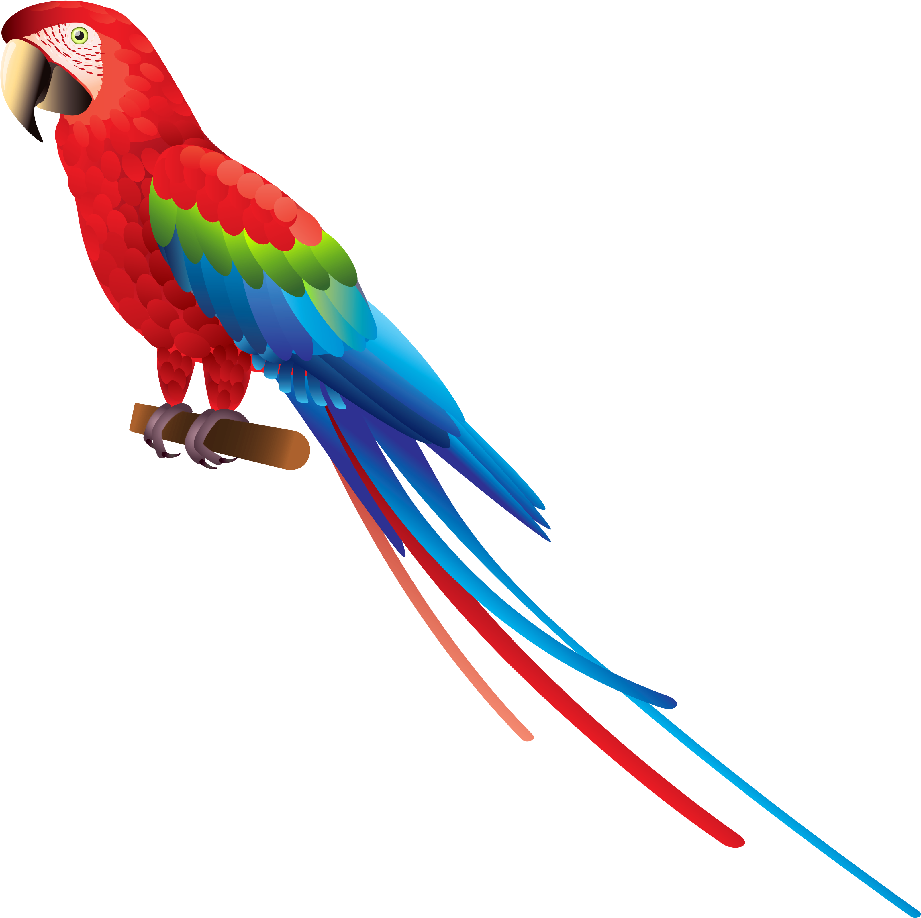 Detail Malen Nach Zahlen Papagei Nomer 19