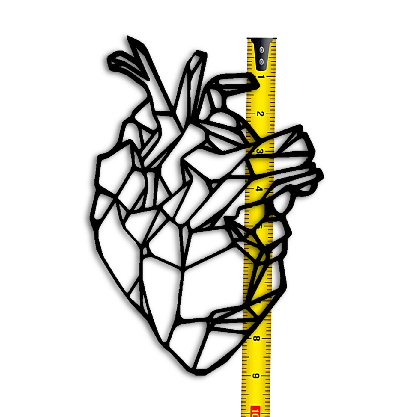 Detail Menschliches Herz Zeichnen Nomer 17