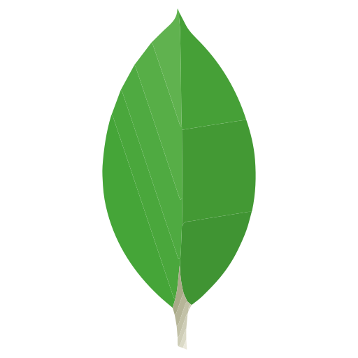 Detail Mongodb Icon Nomer 10