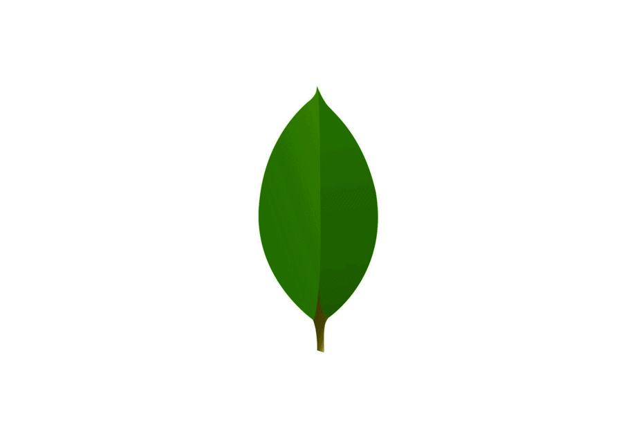 Detail Mongodb Icon Nomer 20