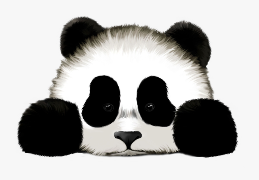 Detail Panda Hintergrund Nomer 8