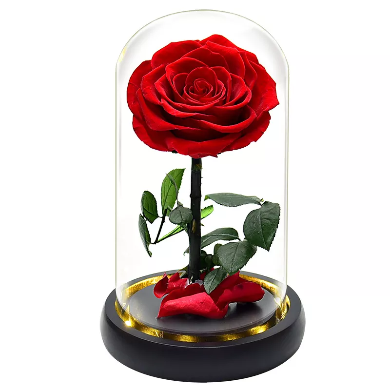 Detail Rose In Glas Nomer 20