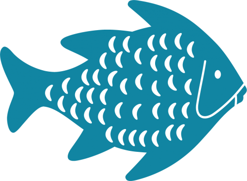 Detail Tilapia Fisch Geschmack Nomer 10