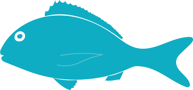 Detail Tilapia Fisch Geschmack Nomer 11