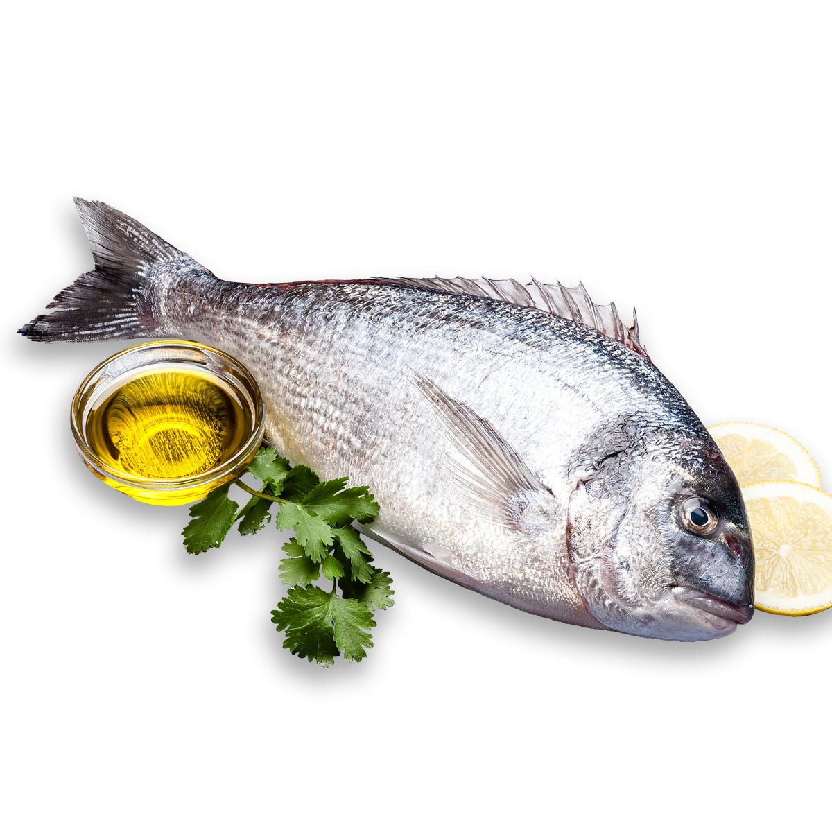 Detail Tilapia Fisch Geschmack Nomer 2