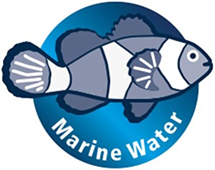 Detail Tilapia Fisch Geschmack Nomer 18