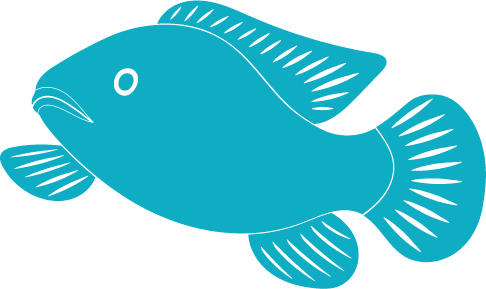 Detail Tilapia Fisch Geschmack Nomer 4