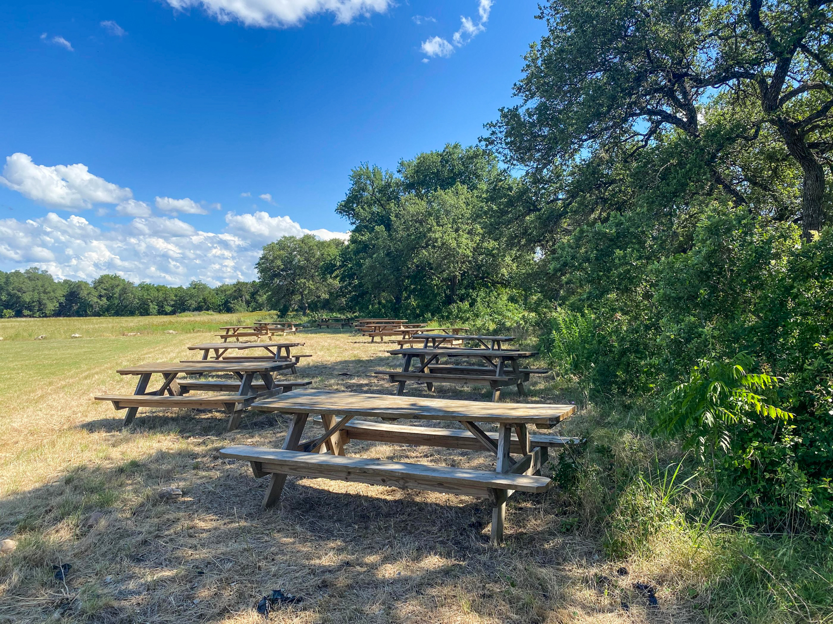 Detail Jester King Brewery Tours Nomer 28