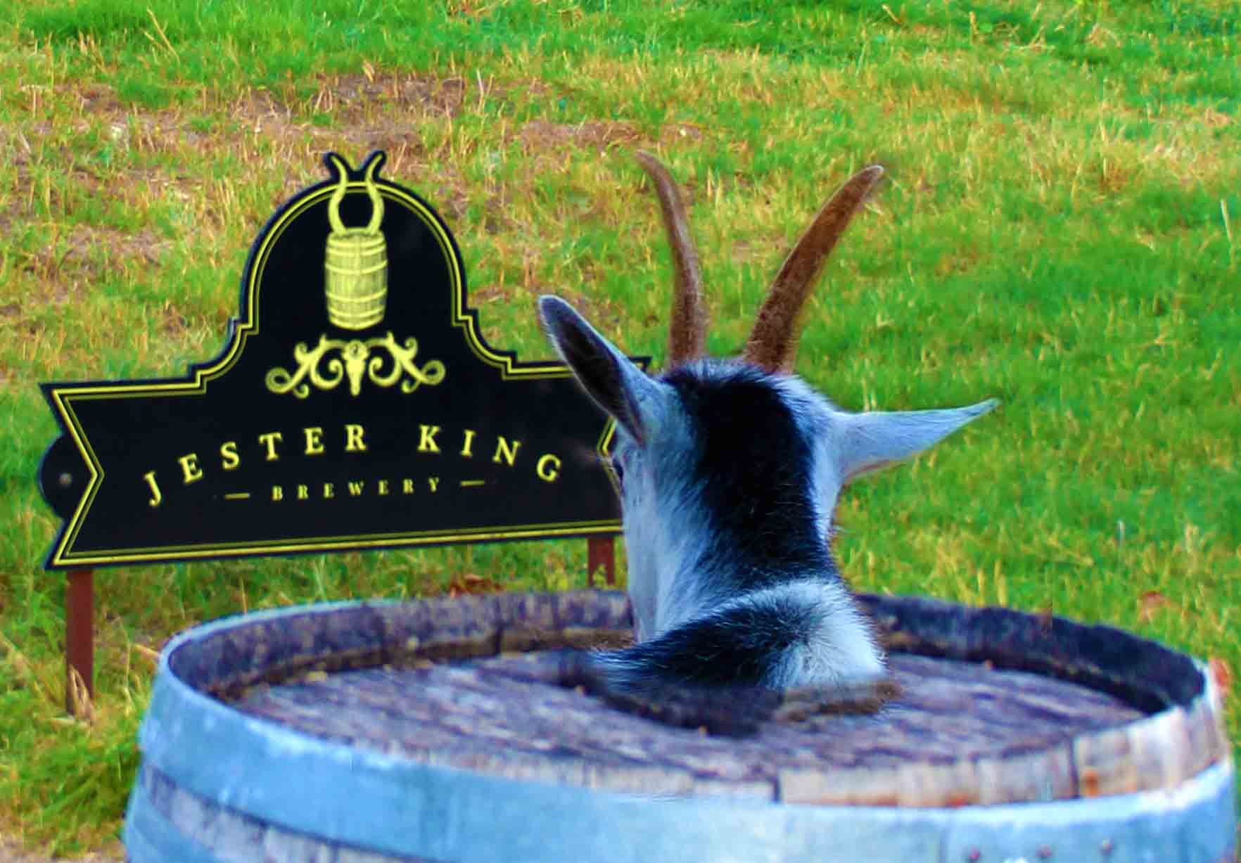 Detail Jester King Brewery Tours Nomer 34