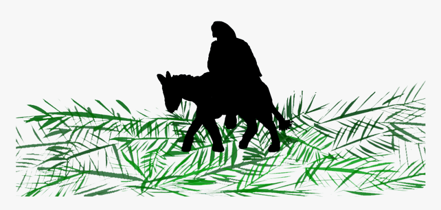 Detail Jesus On A Donkey Clipart Nomer 46