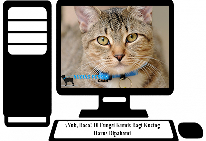 Detail Jimat Kumis Kucing Nomer 5