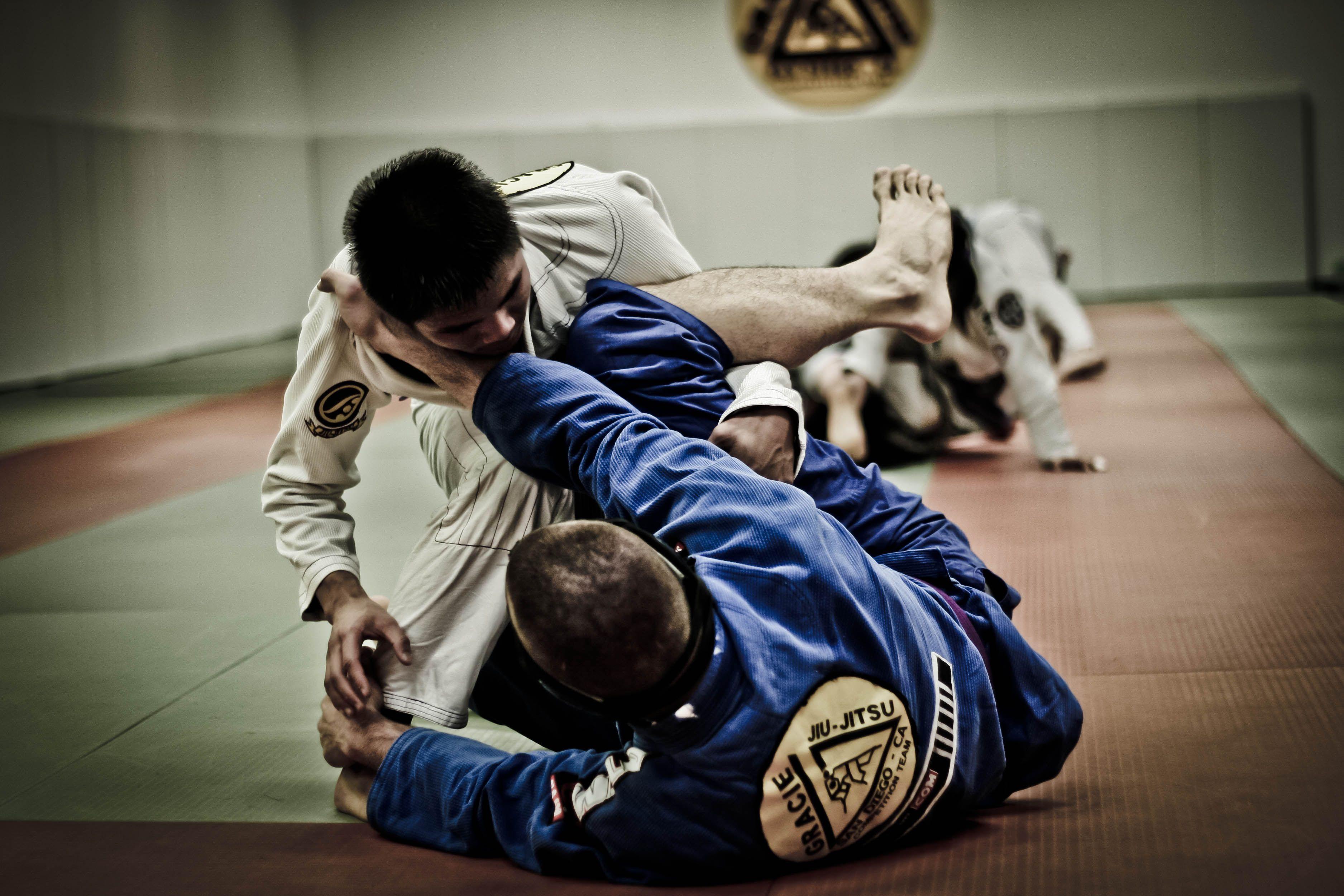 Detail Jiu Jitsu Wallpaper Nomer 10