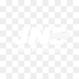 Detail Jne Logo Png Nomer 11
