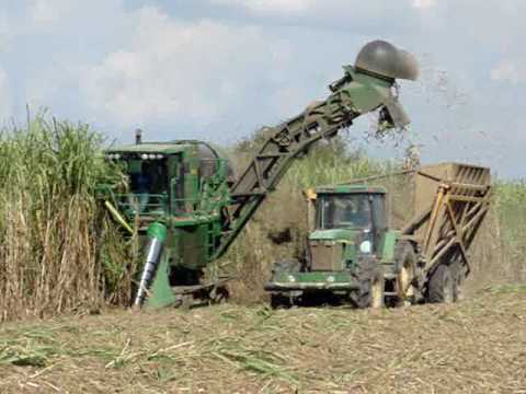 Detail John Deere Sugarcane Harvester Nomer 25