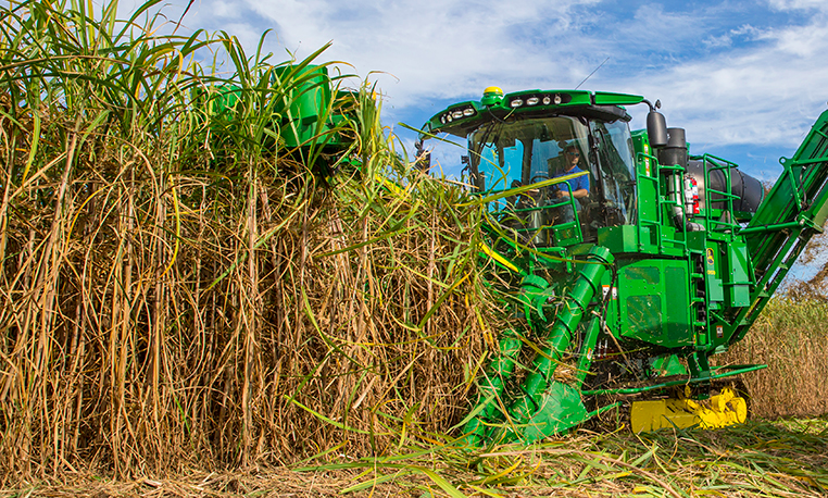 Detail John Deere Sugarcane Harvester Nomer 4