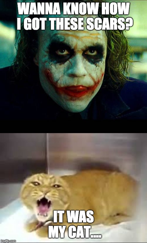 Detail Joker Scars Meme Nomer 16