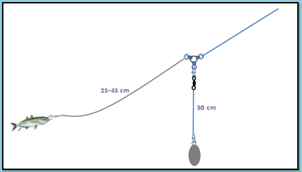 Detail Joran Pancing Dasaran Di Laut Nomer 42