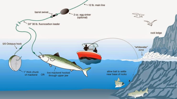 Detail Joran Pancing Dasaran Di Laut Nomer 50