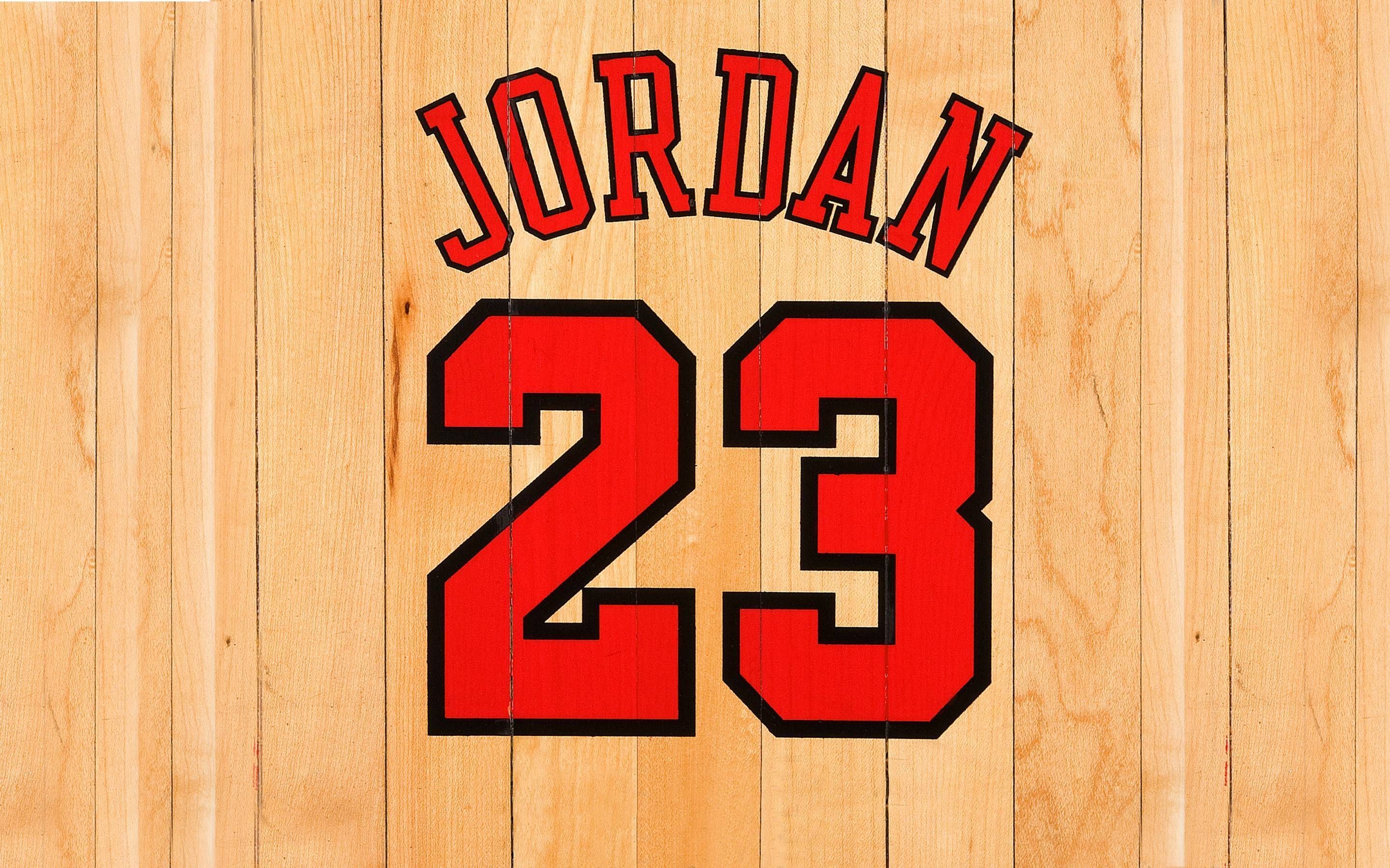 Detail Jordan 23 Logo Nomer 8