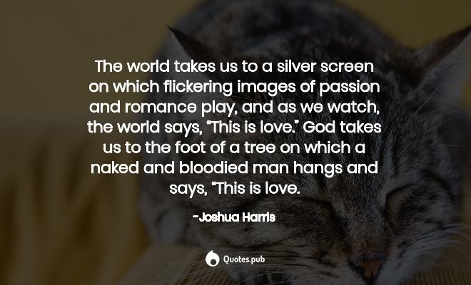 Detail Joshua Harris I Kissed Dating Goodbye Quotes Nomer 40
