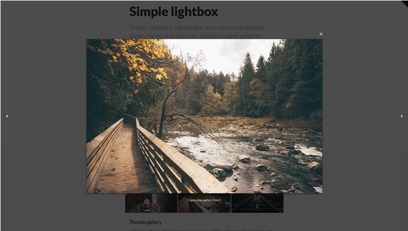 Detail Jquery Responsive Image Gallery Nomer 26