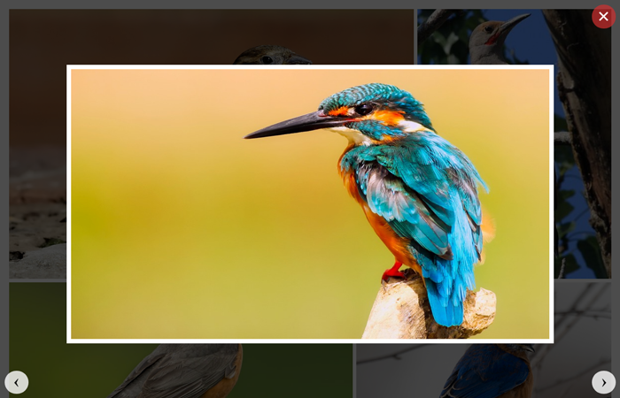Detail Jquery Responsive Image Gallery Nomer 52